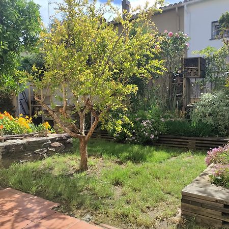 Les Papillons Apartment Perpignan Ngoại thất bức ảnh