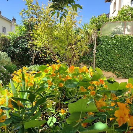 Les Papillons Apartment Perpignan Ngoại thất bức ảnh
