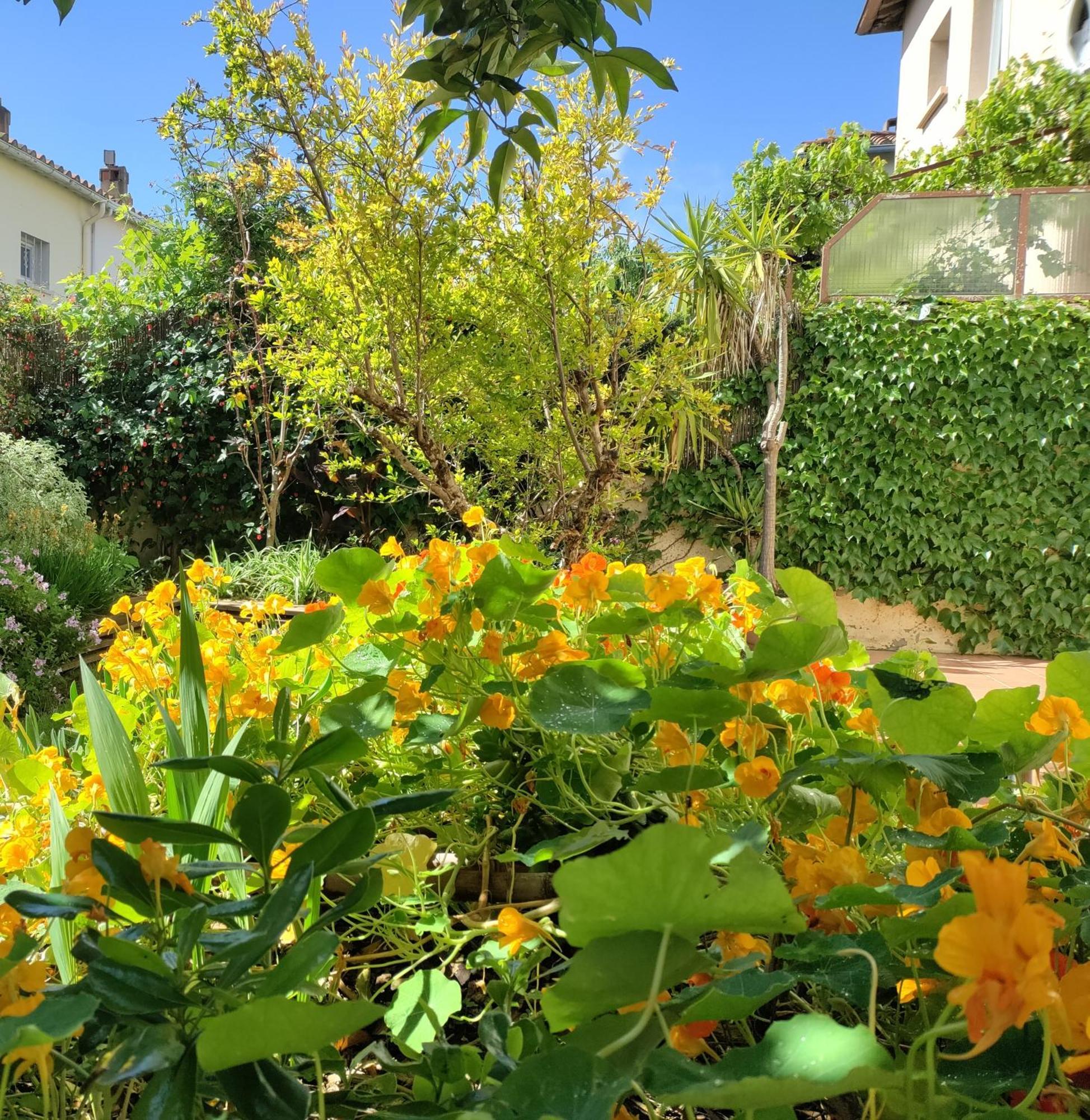 Les Papillons Apartment Perpignan Ngoại thất bức ảnh